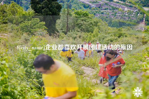 双河企业都喜欢开展团建活动的原因
